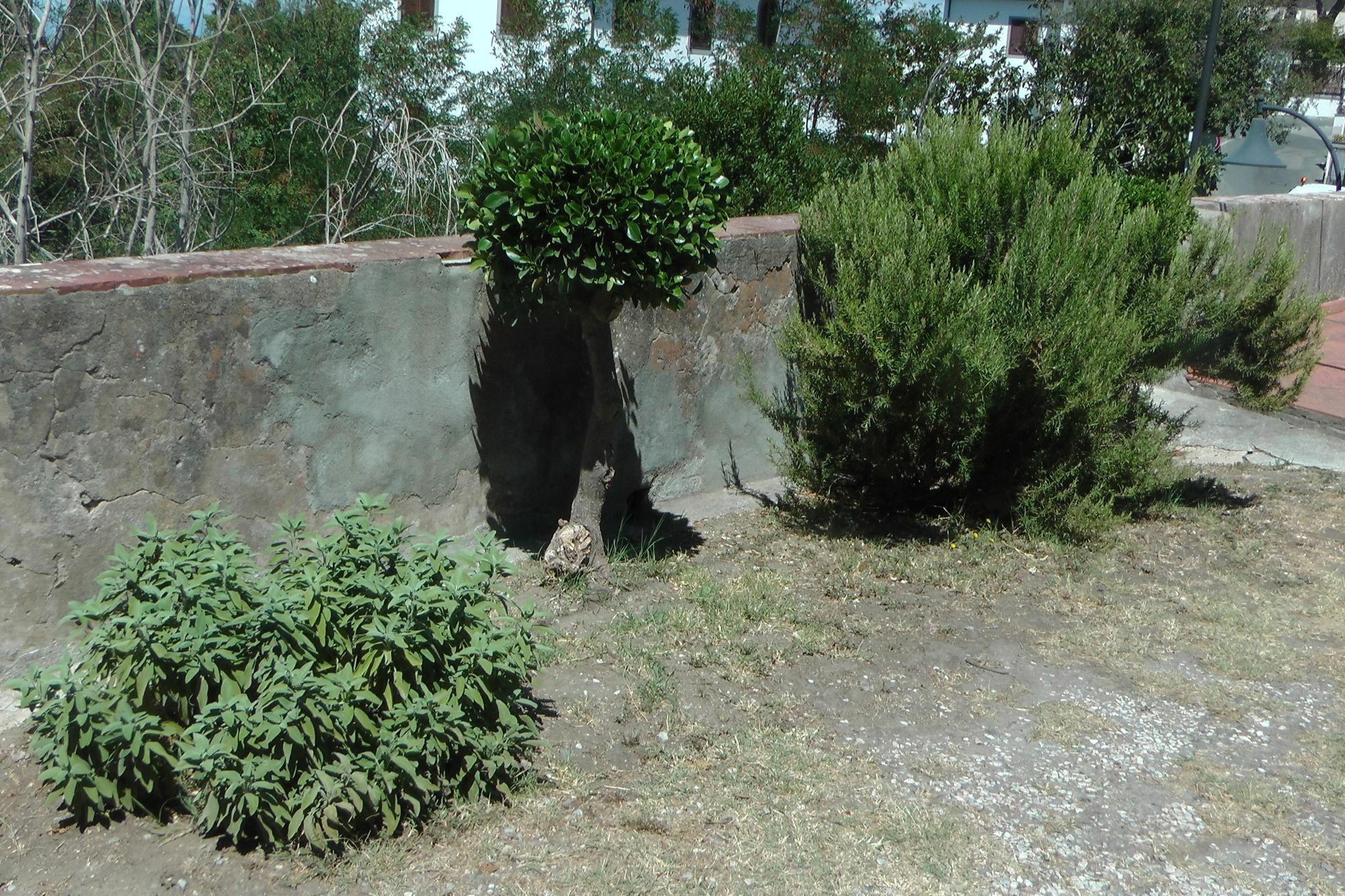 Ferienhaus Villa Della Querceta Livorno Exterior foto